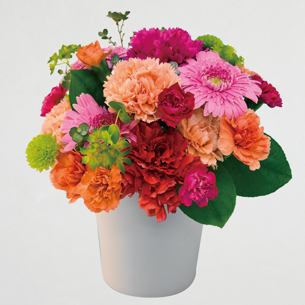 京都隠れ家的花屋 桂花園 Fs Keikaen Twitter