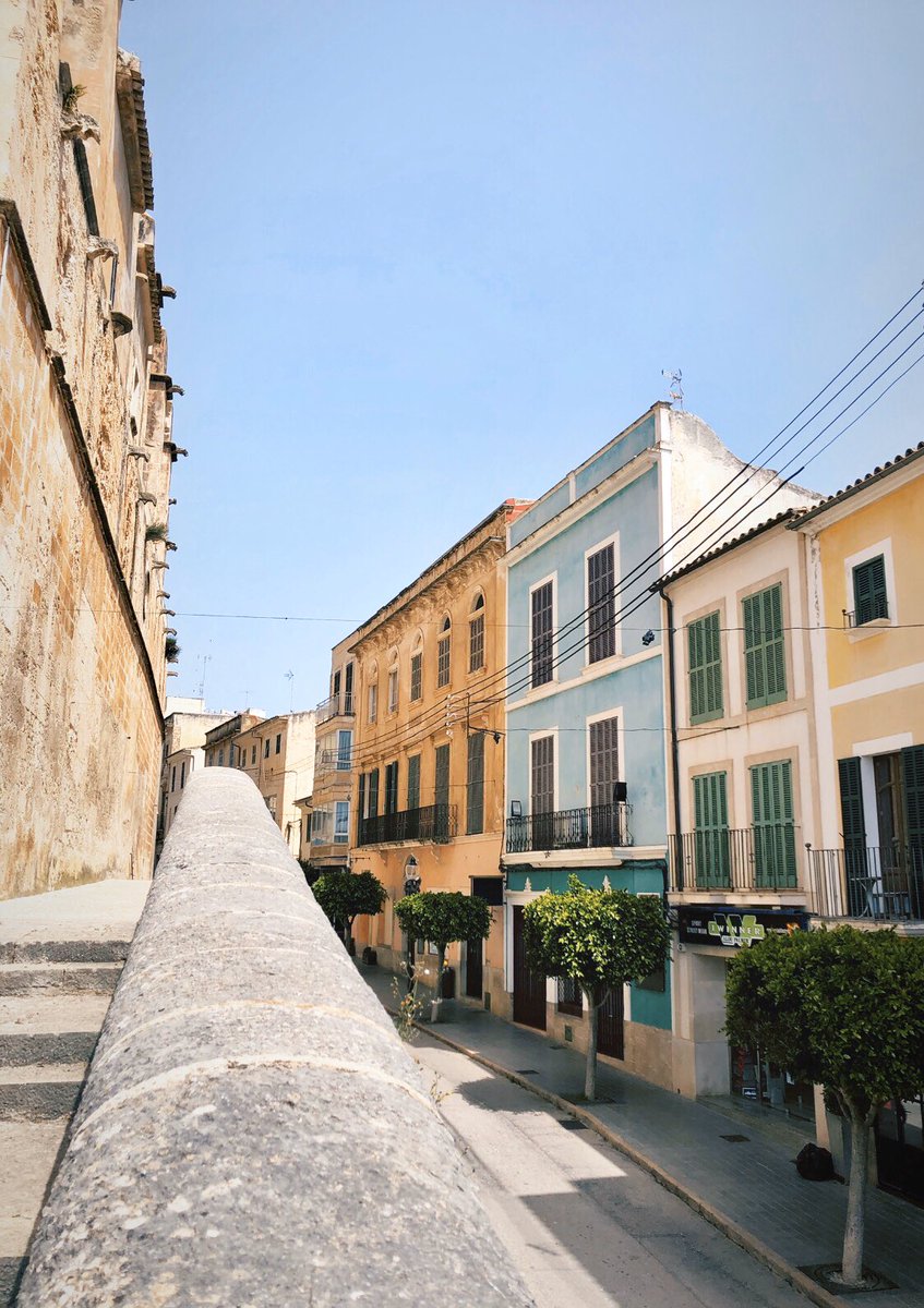 Guten Morgen von Felanitx 🌸
#Mallorca