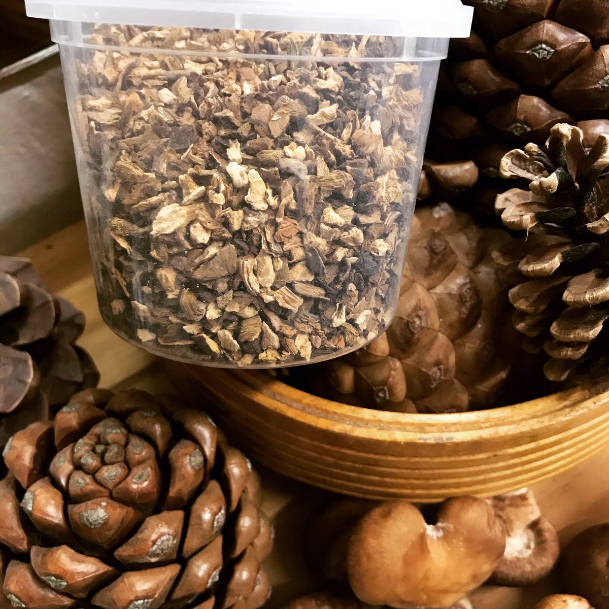 Stall 2520 Autumn Harvest Mushrooms 🍄 
Porcini pieces 80g tub £6.50 each (10% off until 30th April on all out mushroom products) 
⭐️Great for adding to gravy, creamy sauce &amp; risotto ⭐️
 🍄Visit our Facebook Page to order and forage through all our mushroom product🍄