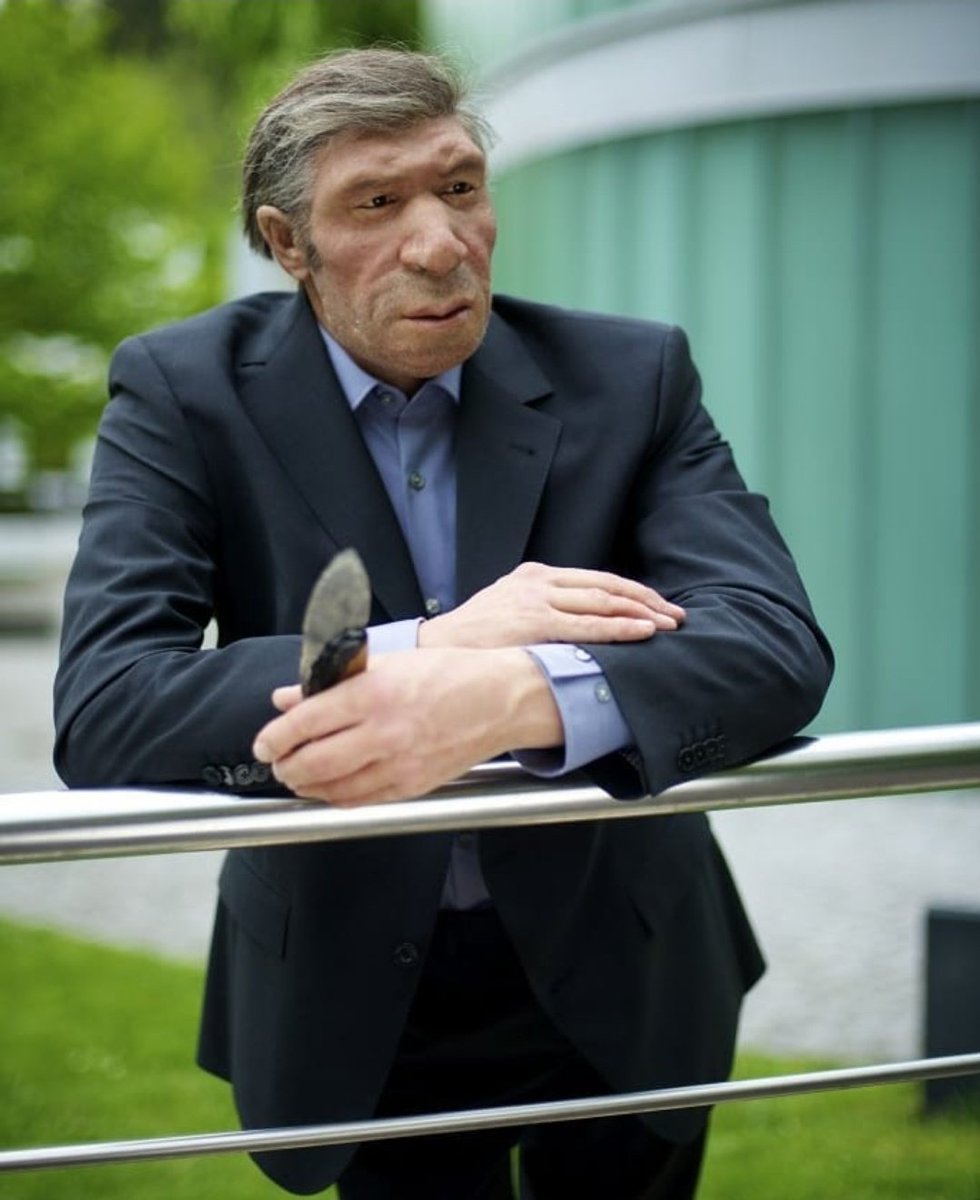 Interesante reconstrucción de cómo se vería un Neanderthal si viviera en nuestros días. Podéis encontrarlo en el Museo de Mettman (Alemania).