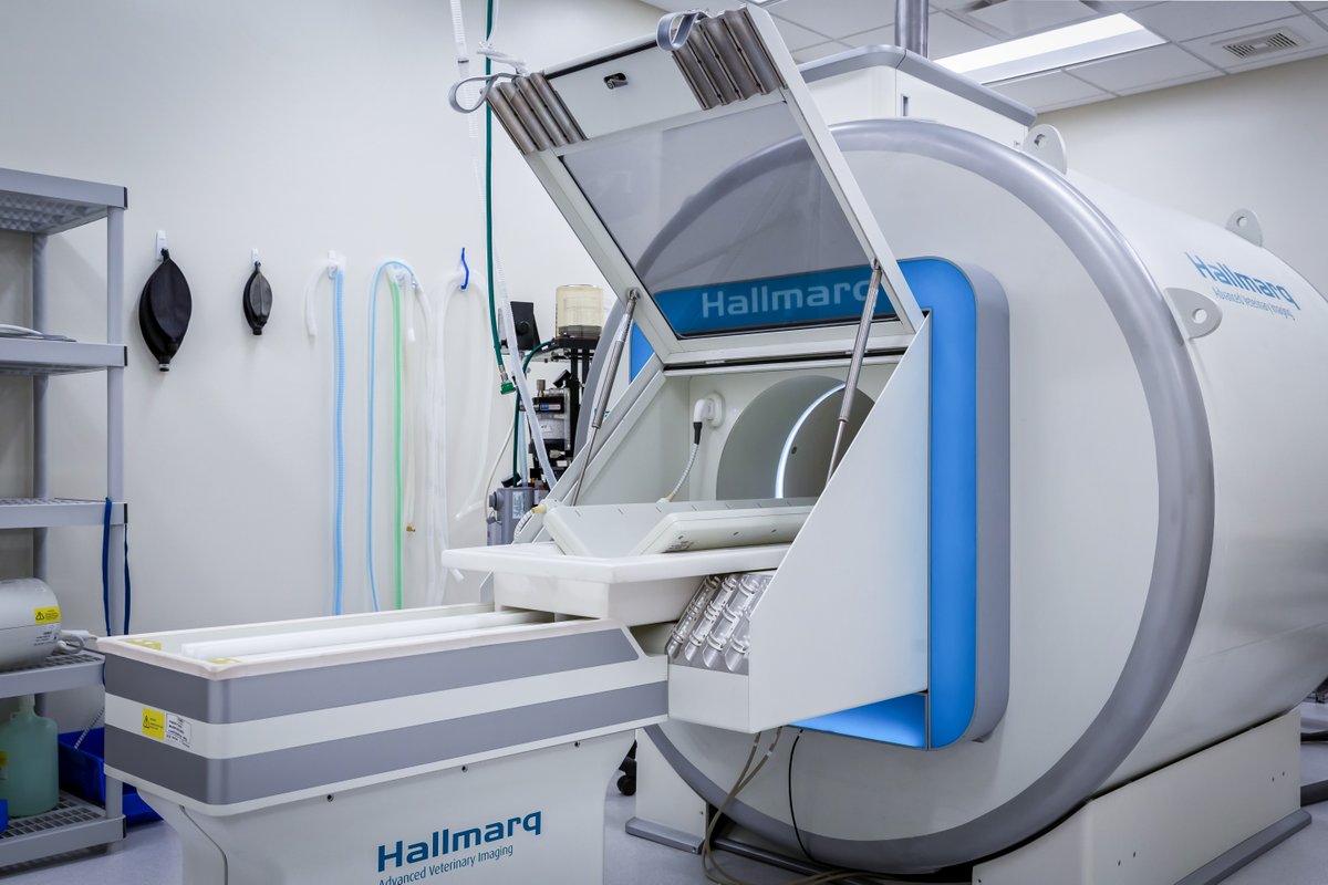 HallmarqVI's tweet photo. 📢 EXCLUSIVE ANNOUNCEMENT! 📢

We are excited to announce that Hallmarq Veterinary Imaging has been honored with a Queen’s Award for Enterprise in Innovation for our Small Animal 1.5T MRI scanner. 🎉 #QueensAward
Read our latest blog post to learn more >>  https://t.co/M3mFgDRXXo https://t.co/9vmJ3EFyFi