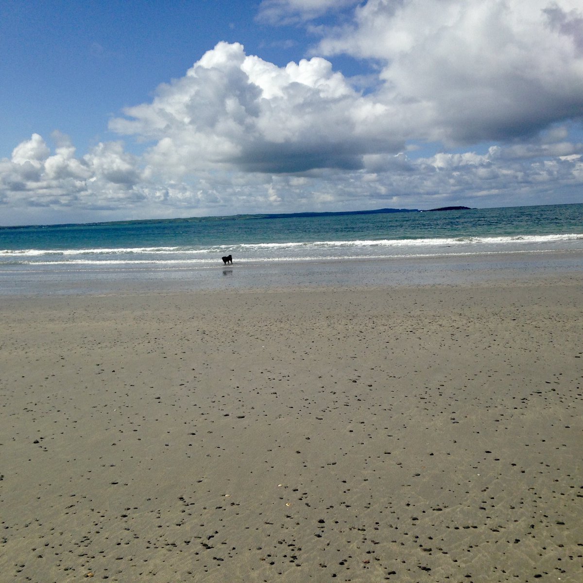 Inter-county travel from May 10? 🤔 -  we’ll have to share the most beautiful county in 🇮🇪 with everyone else! 😃 #Ennis at ❤️ Co Clare 15 mins #Burren 30 mins #WAW beaches, 40 mins <a href="/CliffsofMoherIE/">Cliffs of Moher Experience</a> Great touring base, excellent hotels, shops, food &amp; craic.#EverybodyLovesEnnis 😉