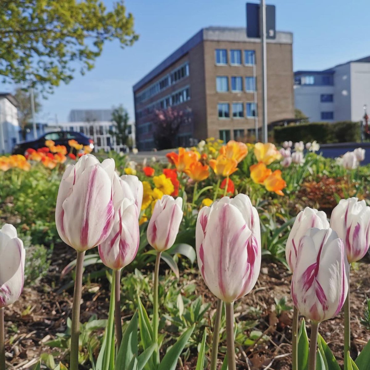 UniklinikDUS's tweet photo. Guten Morgen aus der Uniklinik #Duesseldorf ☀️ https://t.co/OoVT0RYM3t