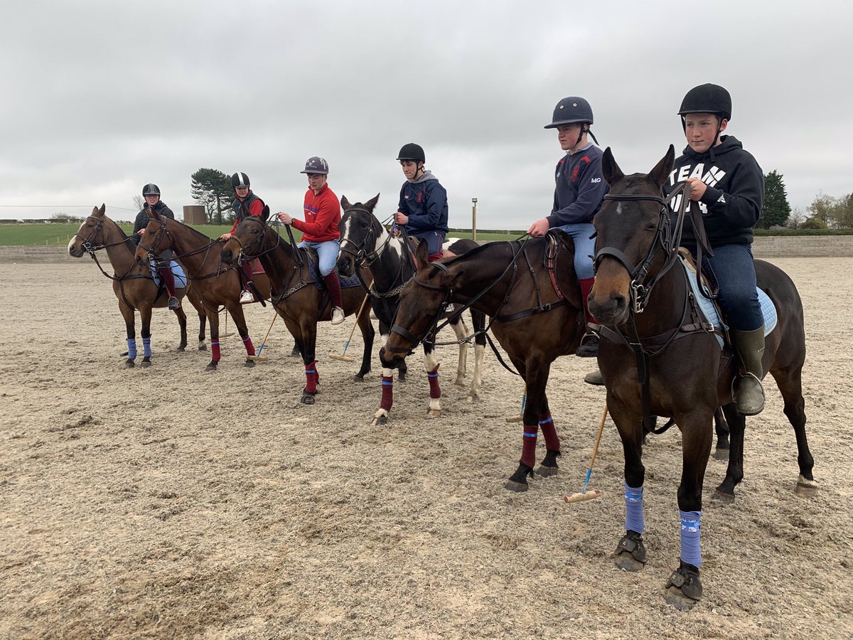 Merchiston Sport tweet media