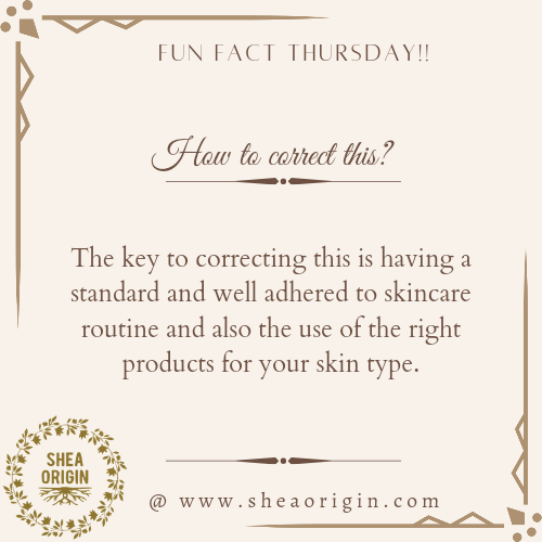 SheaOrigin's tweet image. Fun Fact Thursday!!!
•
Did you know that Over cleansing can cause breakouts?
•
•
Not to worry, the right skincare method with the help of our array of products can help to avoid the effects of Over cleansing.✨

Shop @www.sheaorigin.com or send us a DM