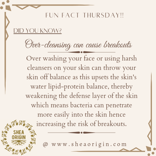 SheaOrigin's tweet image. Fun Fact Thursday!!!
•
Did you know that Over cleansing can cause breakouts?
•
•
Not to worry, the right skincare method with the help of our array of products can help to avoid the effects of Over cleansing.✨

Shop @www.sheaorigin.com or send us a DM