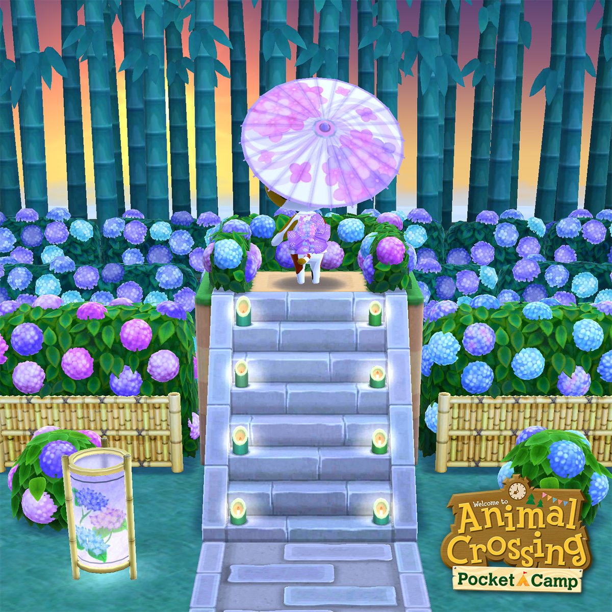 Pocket Camp Pocket Camp Twitter