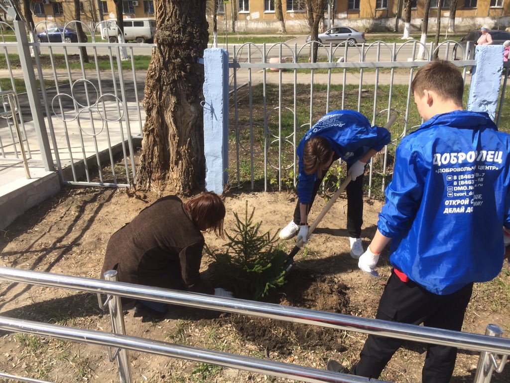 liliyaberd's tweet photo. #новокуйбышевск #ОСМ11 
Сегодня на территории худ.школы (Калинина,6) члены ОСМ6 и ОСМ11 совместно с добровольцами ДМО @Fedoseev_AF 
высадили саженцы елей (9шт.), предоставленные жителем микрорайона Гвоздевым В.П. и депутатом по округу 13 Е.В. Шишковой. @duma_Nsk @SV_Markov https://t.co/TC3KwqoAdw