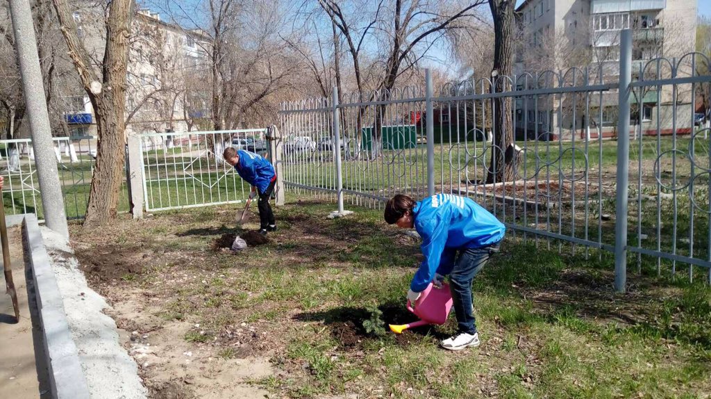 liliyaberd's tweet photo. #новокуйбышевск #ОСМ11 
Сегодня на территории худ.школы (Калинина,6) члены ОСМ6 и ОСМ11 совместно с добровольцами ДМО @Fedoseev_AF 
высадили саженцы елей (9шт.), предоставленные жителем микрорайона Гвоздевым В.П. и депутатом по округу 13 Е.В. Шишковой. @duma_Nsk @SV_Markov https://t.co/TC3KwqoAdw