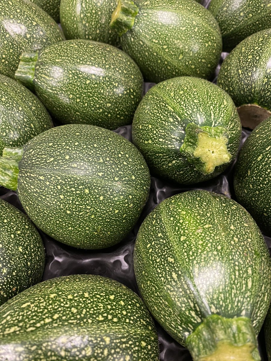 Tonys_N2's tweet photo. Round Spanish courgettes. Sweet and perfect for stuffing and roasting! #tonysfinchley #tonysn2 #eastfinchley #roundcourgettes #stuffedcourgettes #roundcourgettepizza https://t.co/dbabQAKUct