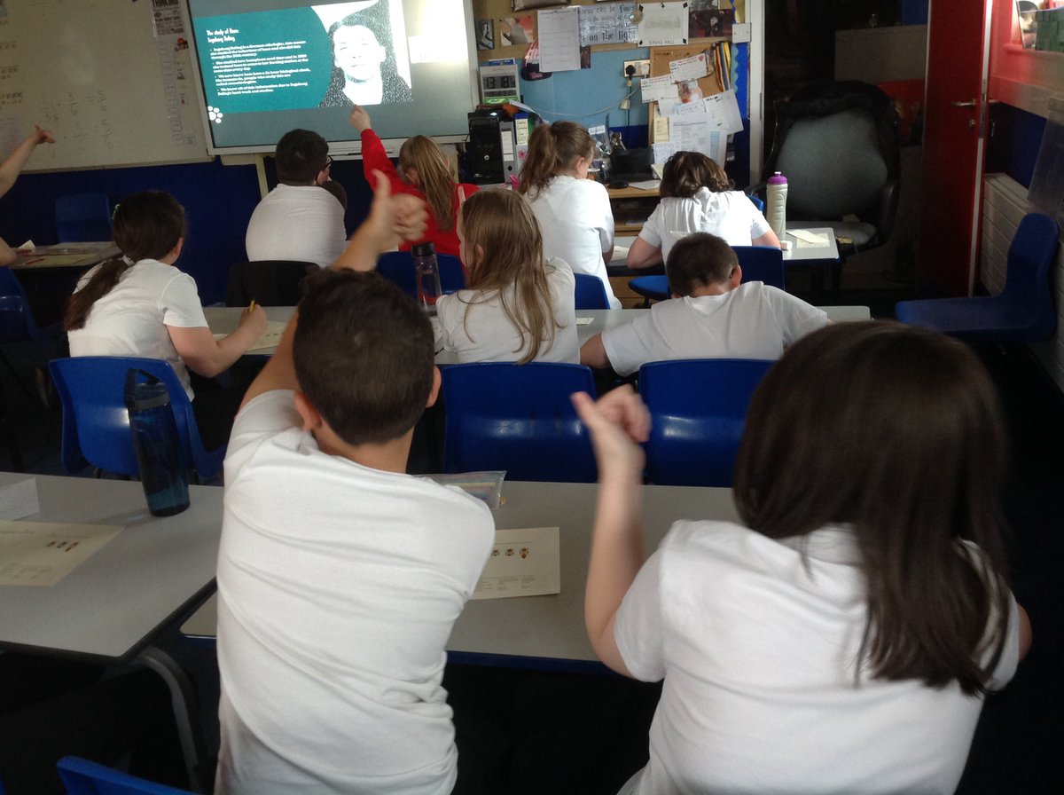 AshKnotty's tweet photo. Some really fun and interesting lessons this week delivered by Liverpool Hope Teachers for their wider perspectives week! It's been a very worthwhile experience and we have learned key information about pollinators! #BeesRule https://t.co/V8jsXVQq4j