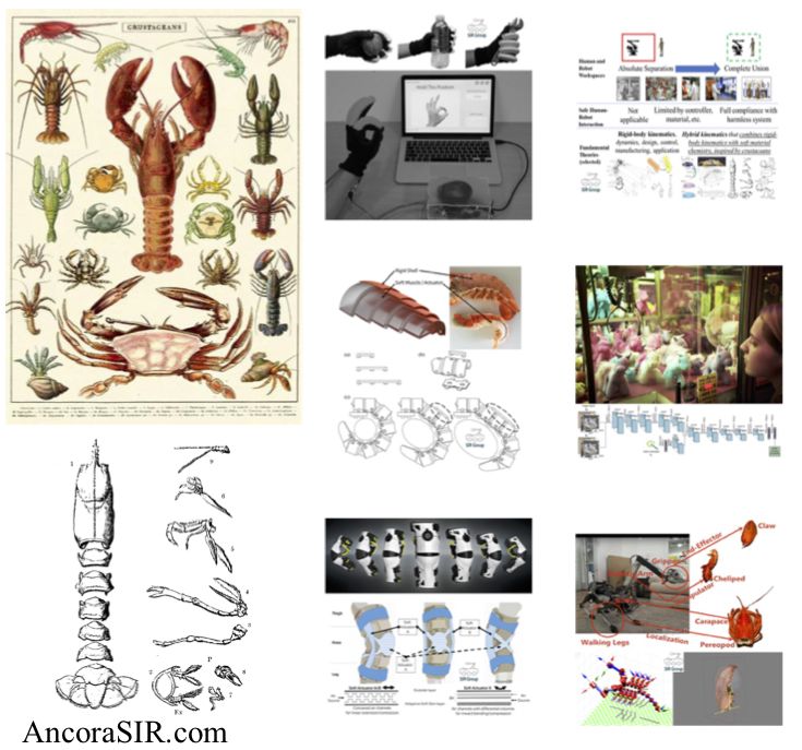 TechieTonics's tweet image. Interview: Dr. Song Chaoyang, Assistant Professor at Southern University of Science and Technology China
techietonics.com/interview-toni…

#bionics #smartprosthetics #robotlearning #designscience #bionicdesign #bionicslab #robotics #research #interview