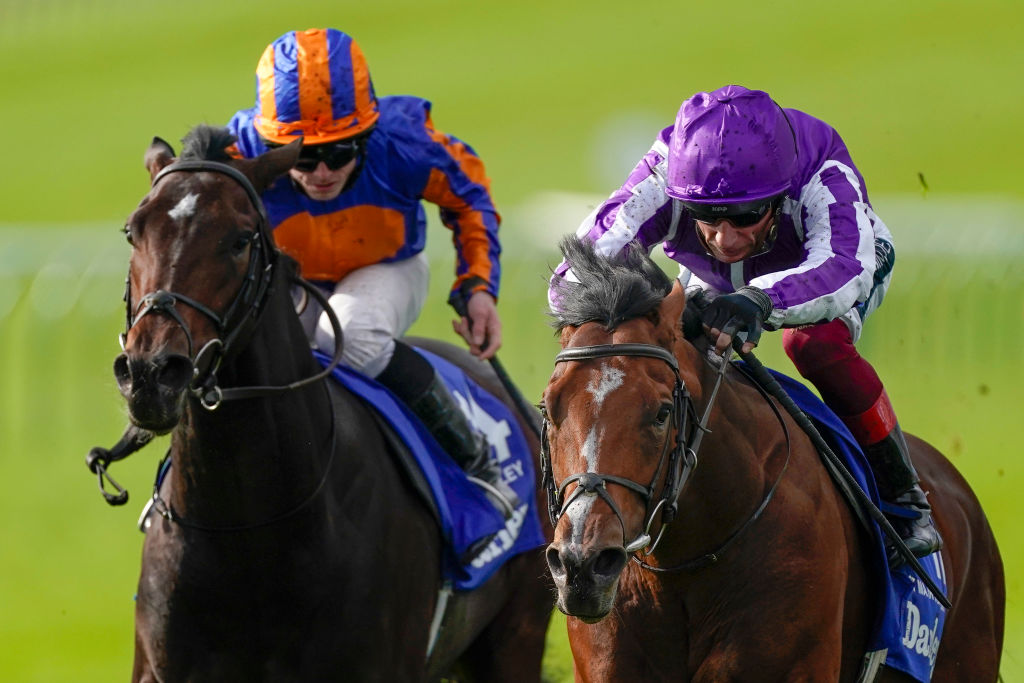 📝 Final declarations for Saturday's 2000 Guineas...

Albadri
Battleground
Chindit
Devilwala
Legion of Honour
Lucky Vega
Master of The Seas
Mutasaabeq
Mystery Smiles
Naval Crown
One Ruler
Poetic Flare
Thunder Moon
Van Gogh
Wembley

❌ St Mark's Basilica
