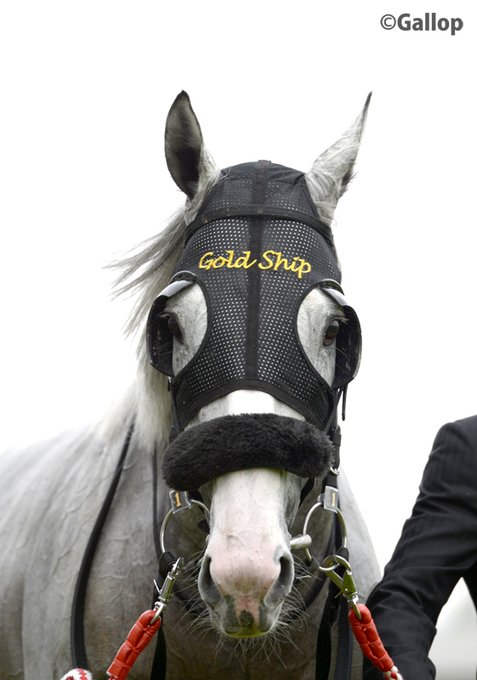 ウマ娘 ウイポに続いて今度は週刊gallopさんがウマ娘に乗っかってくるｗ ウマ娘うまぴょい速報