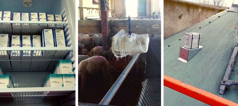 #FOVEX SAT ya utiliza tecnologia <a href="/agroconecta/">Agroconecta, S.L.</a> para controlar información en #cebaderos #neverasmedicamentos #silospienso #sensoresinalambricos #IoT 
#temperatura #luminosidad #humedad #CO2 #ultrasonido #bienestaranimal #ganaderíadeprecisión #granjas #ovino <a href="/EAgroup_/">EA group</a>