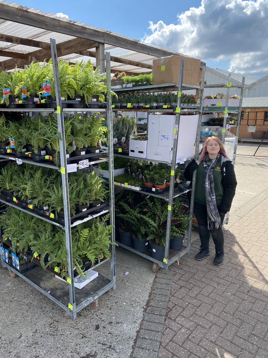 SummerhillGC's tweet image. Eeeeeek Megan is super excited checking in our new bedding, plant area and houseplant delivery in. #newplants #plantdelivery #springbedding