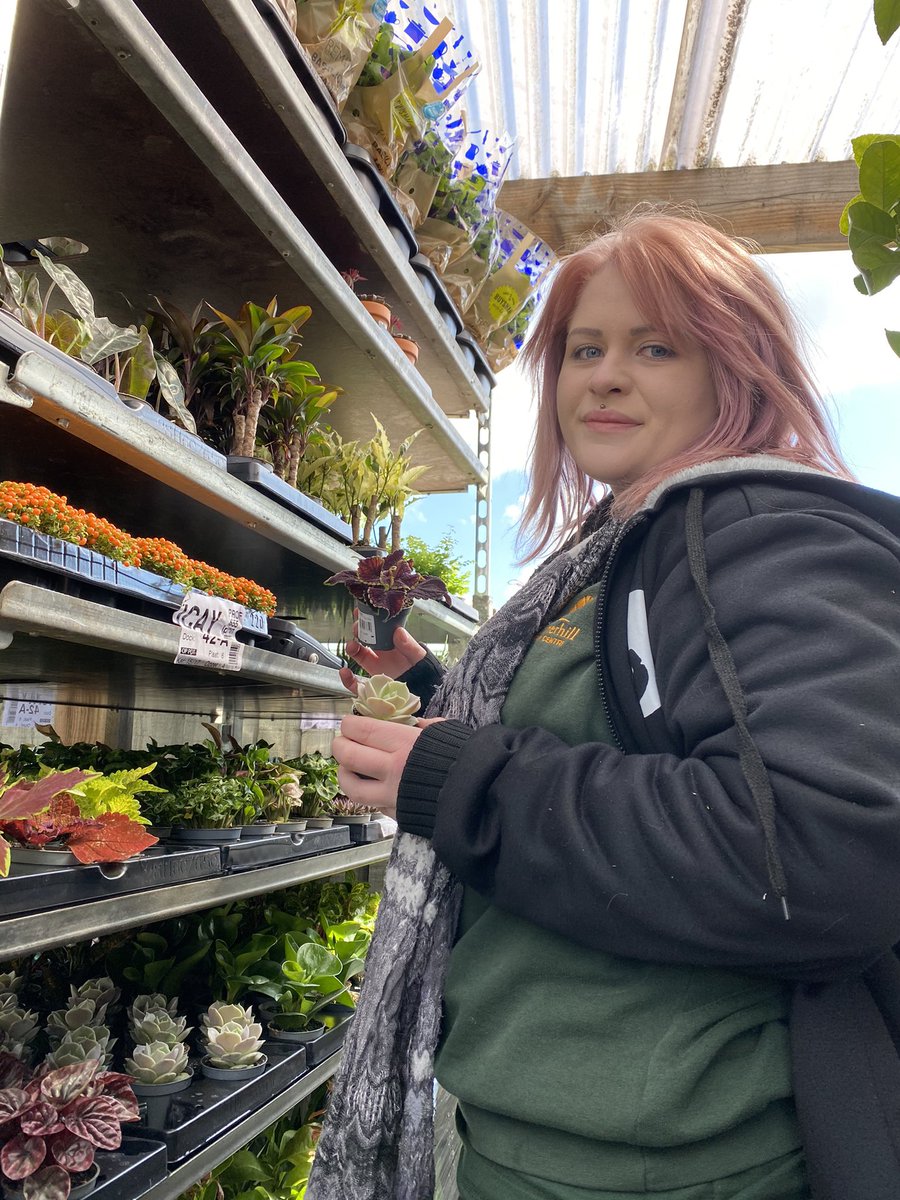 SummerhillGC's tweet image. Eeeeeek Megan is super excited checking in our new bedding, plant area and houseplant delivery in. #newplants #plantdelivery #springbedding