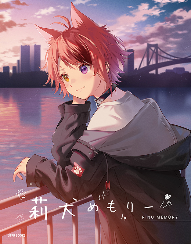 フカヒレ در توییتر 莉犬くん初の公式ファンブック 莉犬めもりー カバーイラストを担当しております 発売決定おめでとうございますー