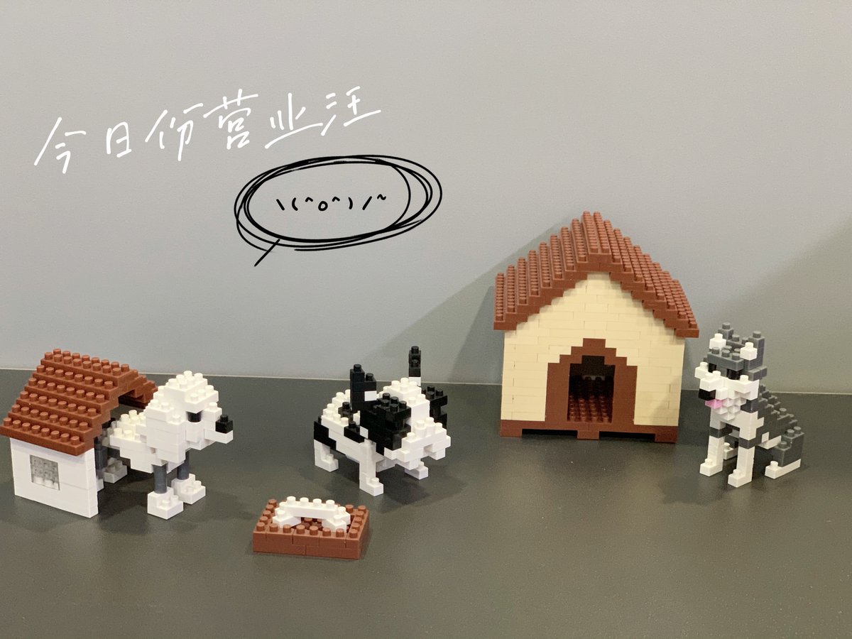YirunB's tweet image. The dog who has a angel&apos;s face! It&apos;s very lovely, sharing with you!

The samples are available and accept trial mini order.
contact us:myj@myj-toys.com

#yirunironbeads #puzzl #miniblocks #kids
#toysforkids #gift #toyshop #giftshop
#outle #nanoblocks #oem