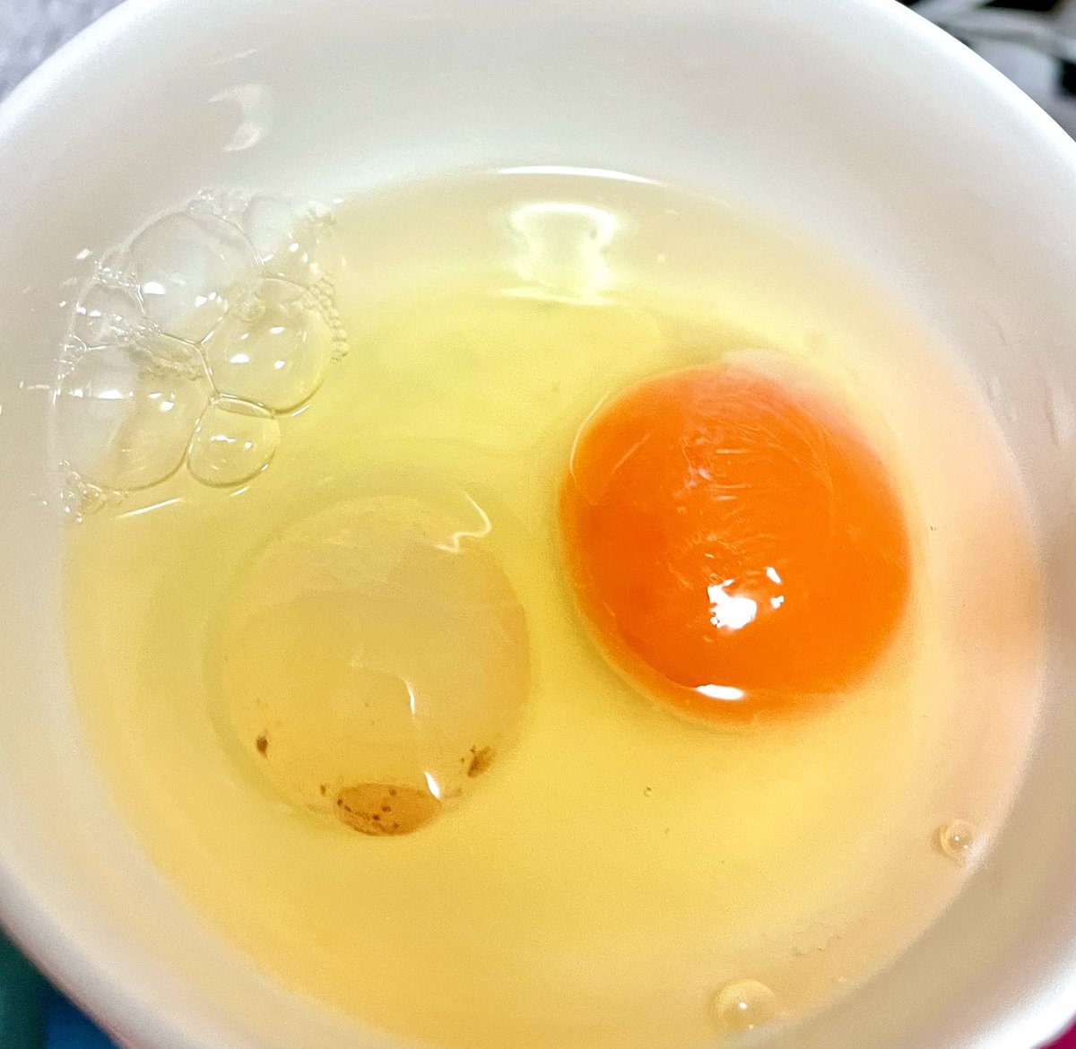 玉子割ったら2個出てきたうえになんか片方の様子がおかしい 玉子割ったら2個出てきたうえになんか片方の様子がおかしい
