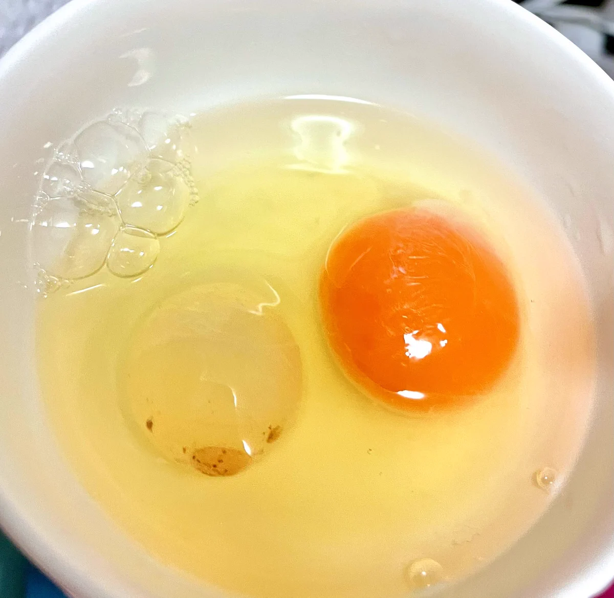 卵を割ったら2個出てきた！？しかも片方がちょっとおかしいwww