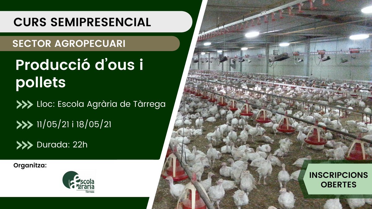 EATarrega's tweet photo. En aquest curs, parlarem dels aspectes claus del maneig i la producció d’#ous🥚i #pollets🐥 per a la millora de la producció, salut, #benestaranimal i #qualitat dels #aliments i per garantir la #seguretatalimentària.✍️🏻Informació i inscripcions:
https://t.co/AK7J2cN19D #EATàrrega https://t.co/08QFUiNr1q