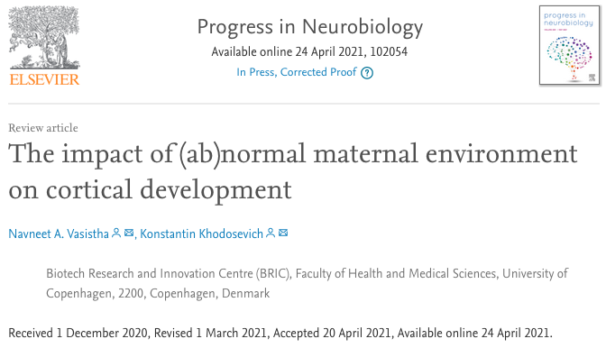 Khodosevich Lab tweet media