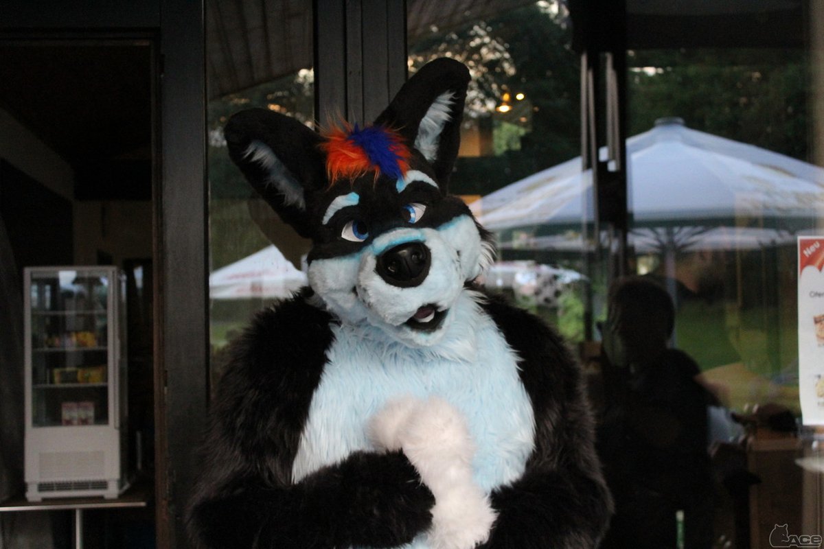 Fursuit Photo of the day