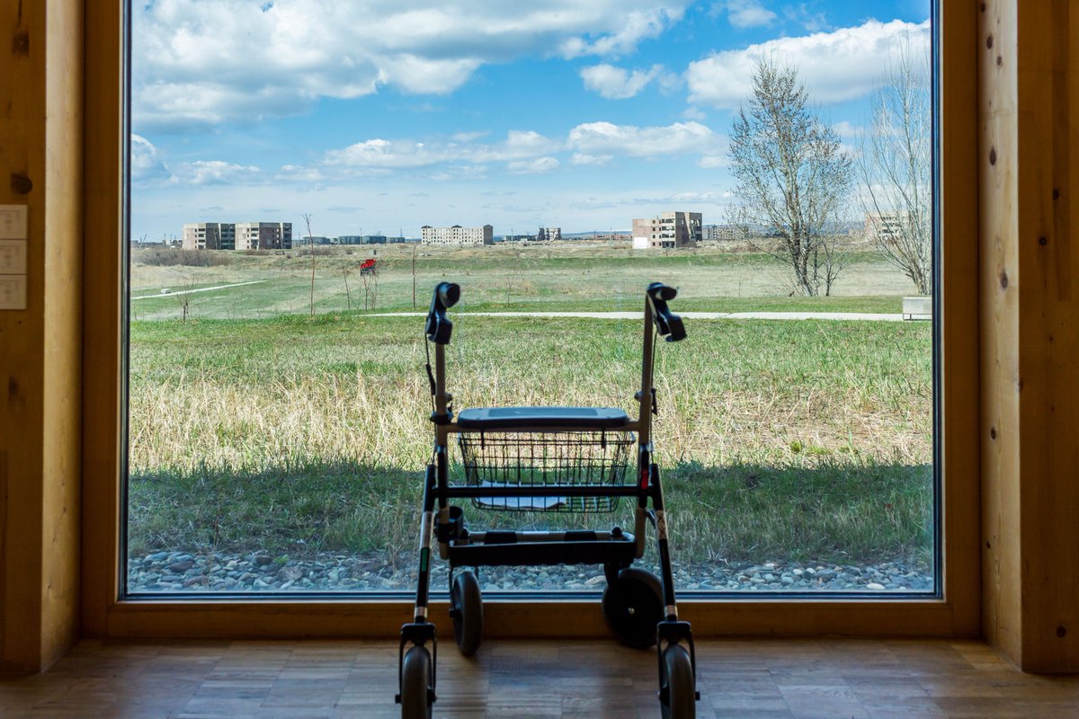 Check our new project #StrongerEveryDay
👉weareayo.org
Ayo! is partnering with the Emili Aregak in Gyumri in order to provide rehabilitative care to wounded servicemen by purchasing the necessary equipment for the therapies.