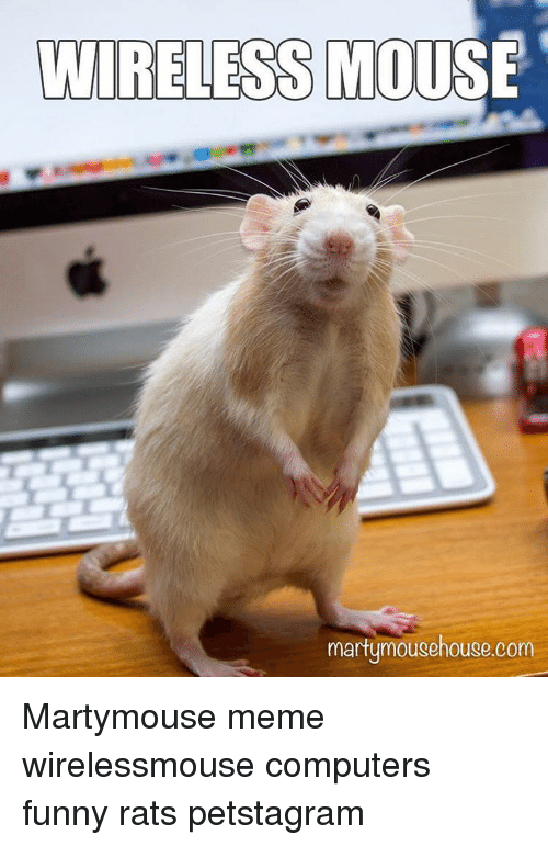 LowtechM's tweet photo. Who else Likes mouse memes!
#memes #mousememes #Mouse https://t.co/w3ypBIwYt8