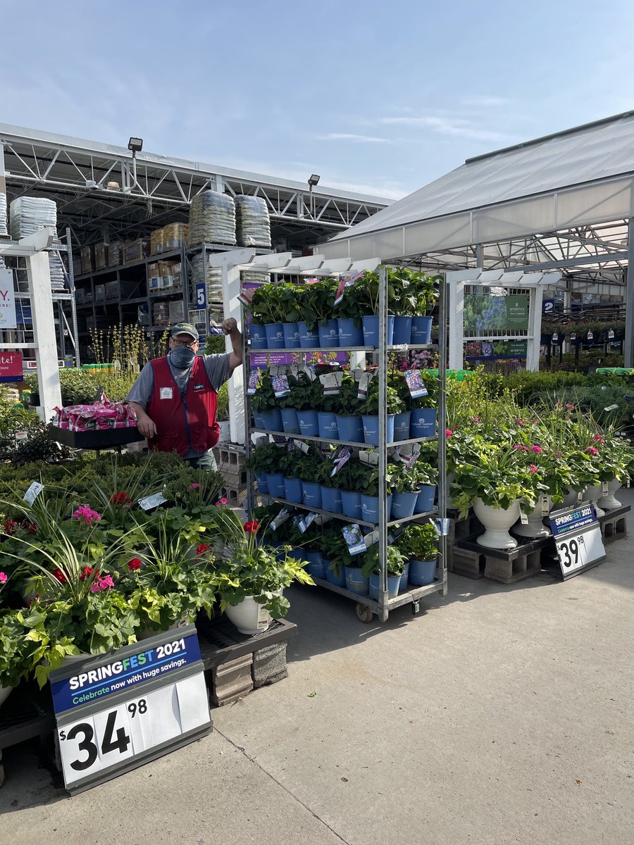 Rich in 1883 showing off his new Endless Summer Hydrangeas for his customers. They look great!