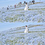 人が誰もいない綺麗な写真を撮りたい!？そんな人にオススメな無料アプリがこれ!