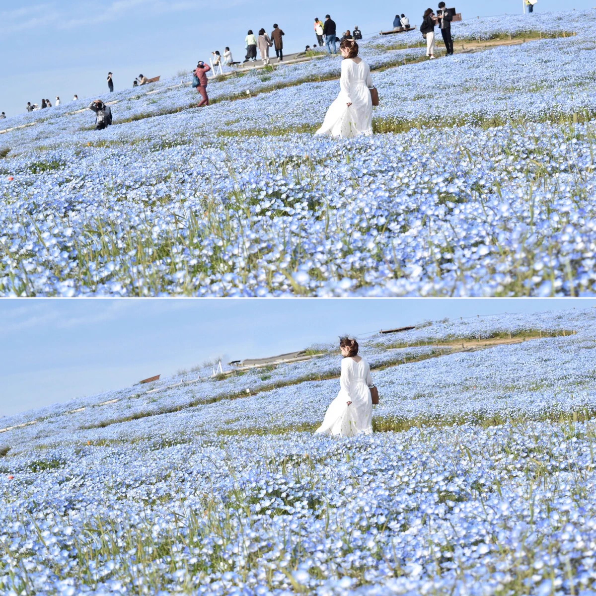 人が誰もいない綺麗な写真を撮りたい！？そんな人にオススメな無料アプリがこれ！