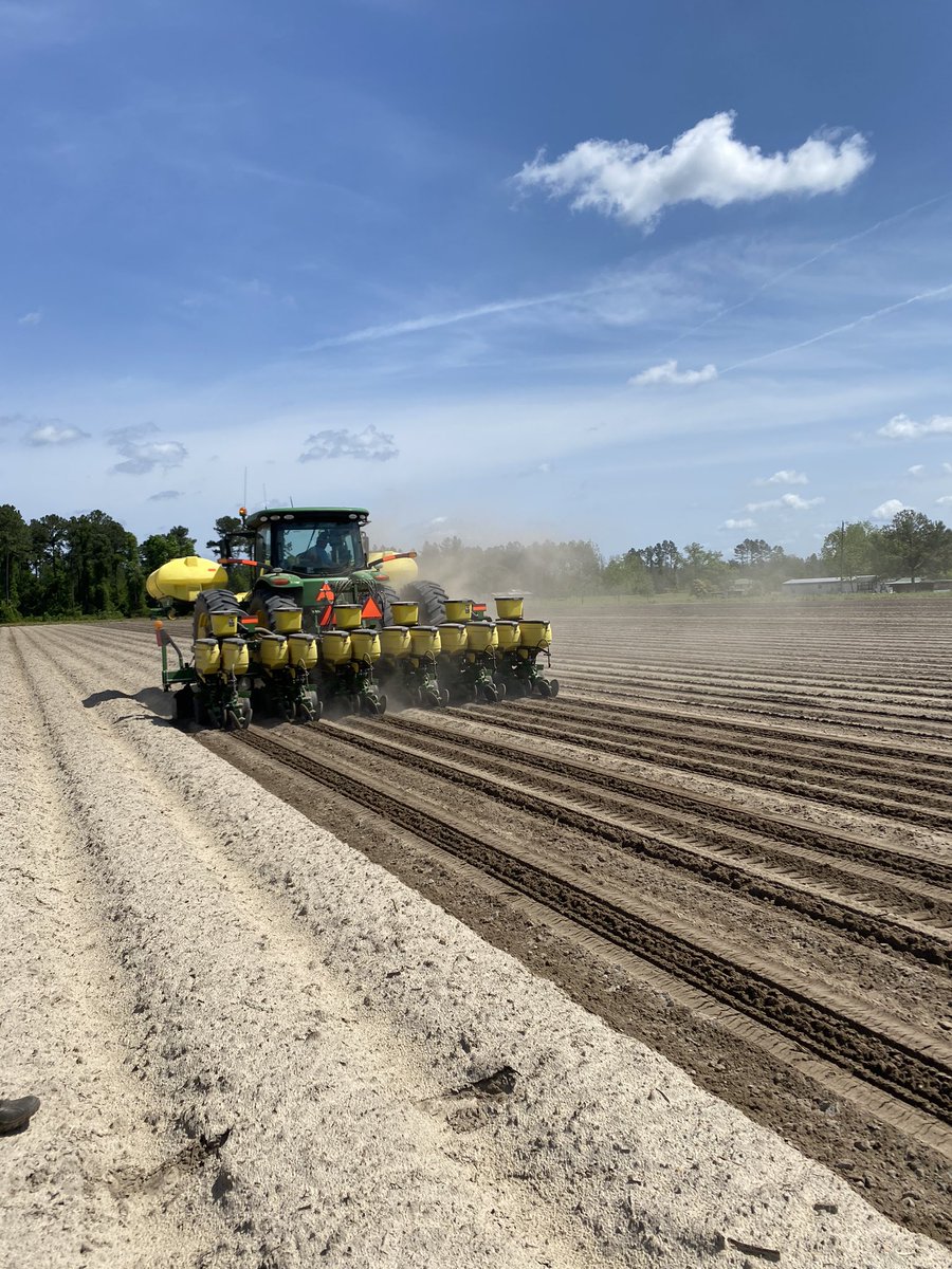 Finally found some fields dry enough to plant. #plant21 🥜