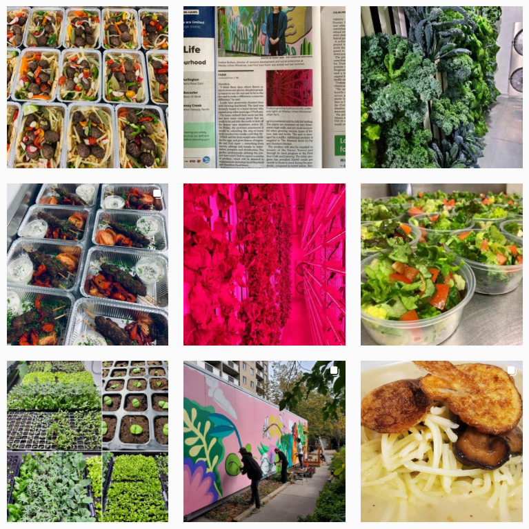 wesleynonprofit's tweet photo. At First Start Farm, we're working to grow local food security year-round, one bunch of produce at a time! Thanks to the #IRProgram new GoC funding @CommFdnsCanada @HamCommFdn 

Follow along at https://t.co/VFzvgLjAiC https://t.co/0FMn1kbYXF