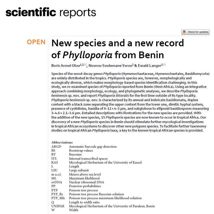 Mytips_UP's tweet photo. Nouvelle publication de MyTIPS sur le genre Phylloporia parue dans Scientific Report (IF=4,7). La nouvelle espèce Phylloporia beninensis décrite sur base des données morphologiques, de l’inférence phylogénétique moléculaire et des analyses bioinformatiques est parasite facultatif https://t.co/EqlyCqCbK9