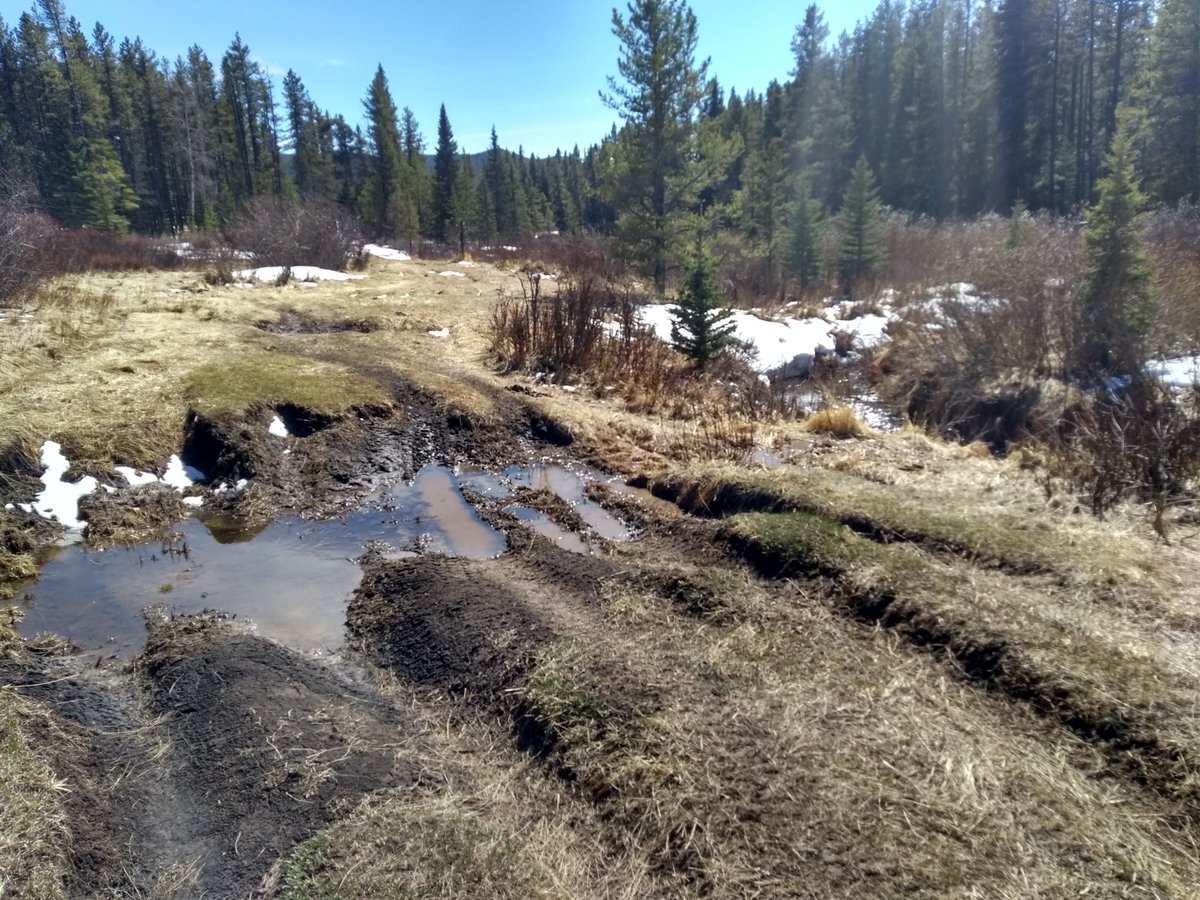 After hearing McLean Creek was exempt from the  #Kananaskis user fees, I hiked in to see the state of the area.In short, it's a mess and shows why the entire thing is politically motivated. A thread on all the destruction and the hyporcisty of it all. 1/6  #abpoli  #AbLeg