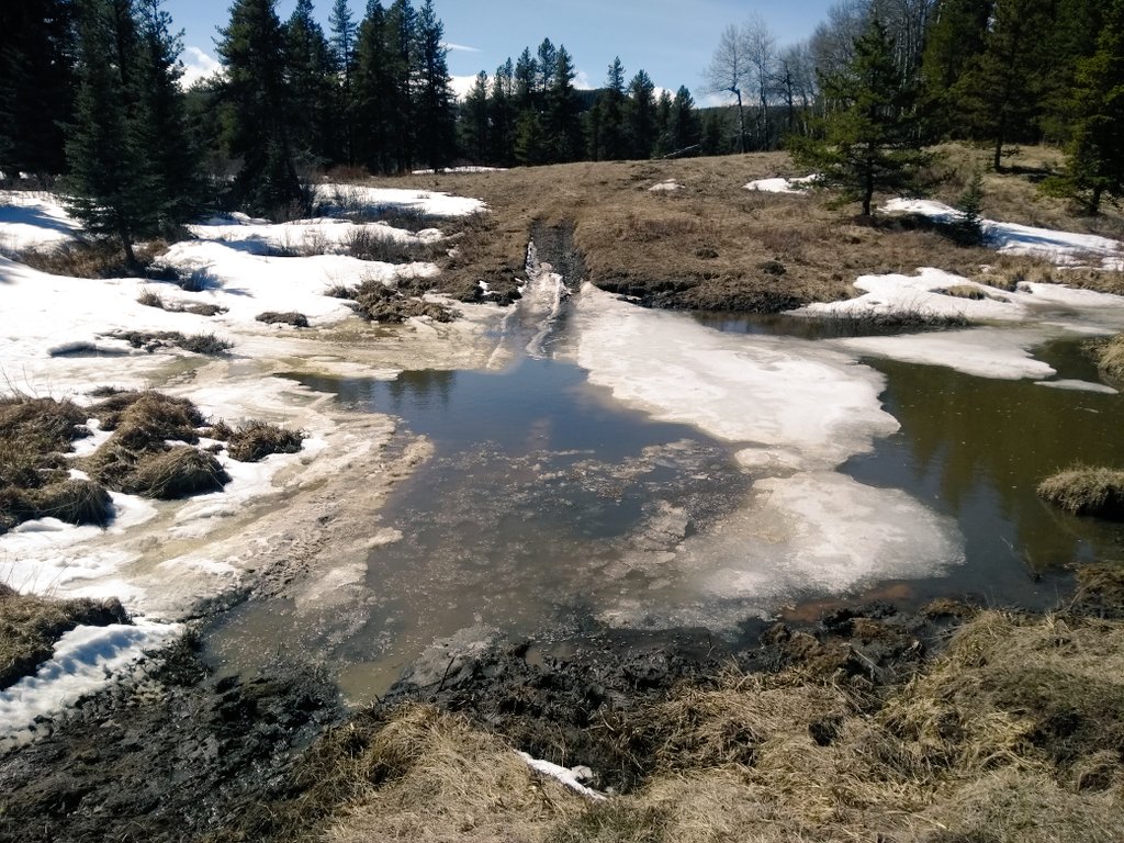 In his presser,  @JasonNixonAB stated that the fees address services, usage, and conservation. All of those apply here. It's a free for all and suffers from heavy, destructive usage where rules aren't being followed.Exhibit 1 - OHV users ripping up creek beds and wetlands 2/6