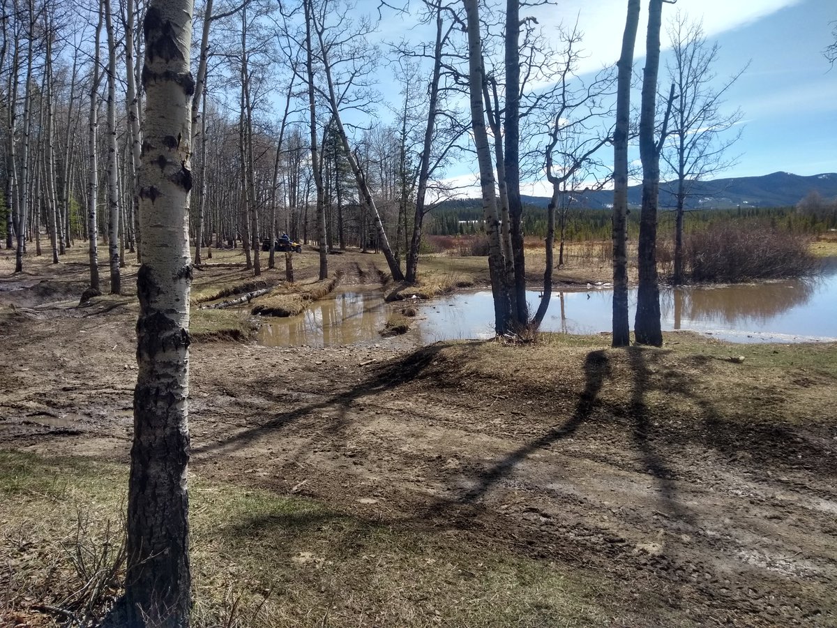 In his presser,  @JasonNixonAB stated that the fees address services, usage, and conservation. All of those apply here. It's a free for all and suffers from heavy, destructive usage where rules aren't being followed.Exhibit 1 - OHV users ripping up creek beds and wetlands 2/6