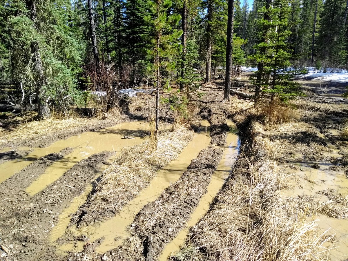 If  @JasonNixonAB was serious about addressing usage and conservation this area would be first on the list.Nowhere else in Kananaskis sees this level of destructive use without any attention or mitigation. It is being condoned and rewarded while the rest of us are punished 6/6