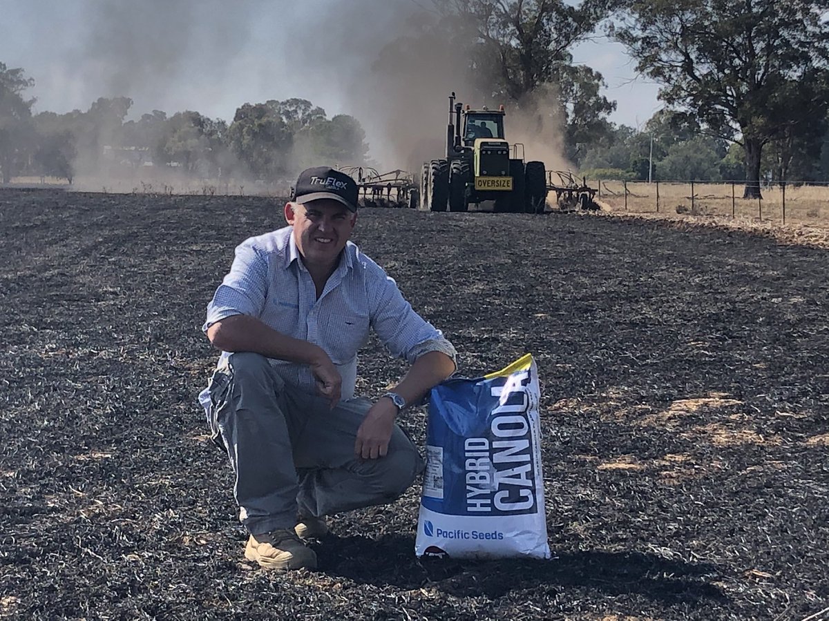Hyola Blazer TT hot off the delivery truck and straight into the paddock <a href="/CaptainCanola/">Justin Kudnig</a> <a href="/PacificSeeds/">Pacific Seeds</a> <a href="/EldersLimited/">Elders</a> <a href="/Michael04165791/">Michael Marchant</a> <a href="/mark_yerbury/">Mark Yerbury</a>