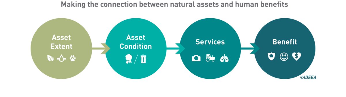 IncaseProject's tweet image. NEW: #INCASEproject paper outlines 1st application of UN #Ecosystem #Accounting framework (SEEA-EA) at catchment level in Ireland, highlighting the need for standardised time-series #data to develop extent and condition accounts -
oneecosystem.pensoft.net/article/65582/
@seewilkie @lisaccoleman
