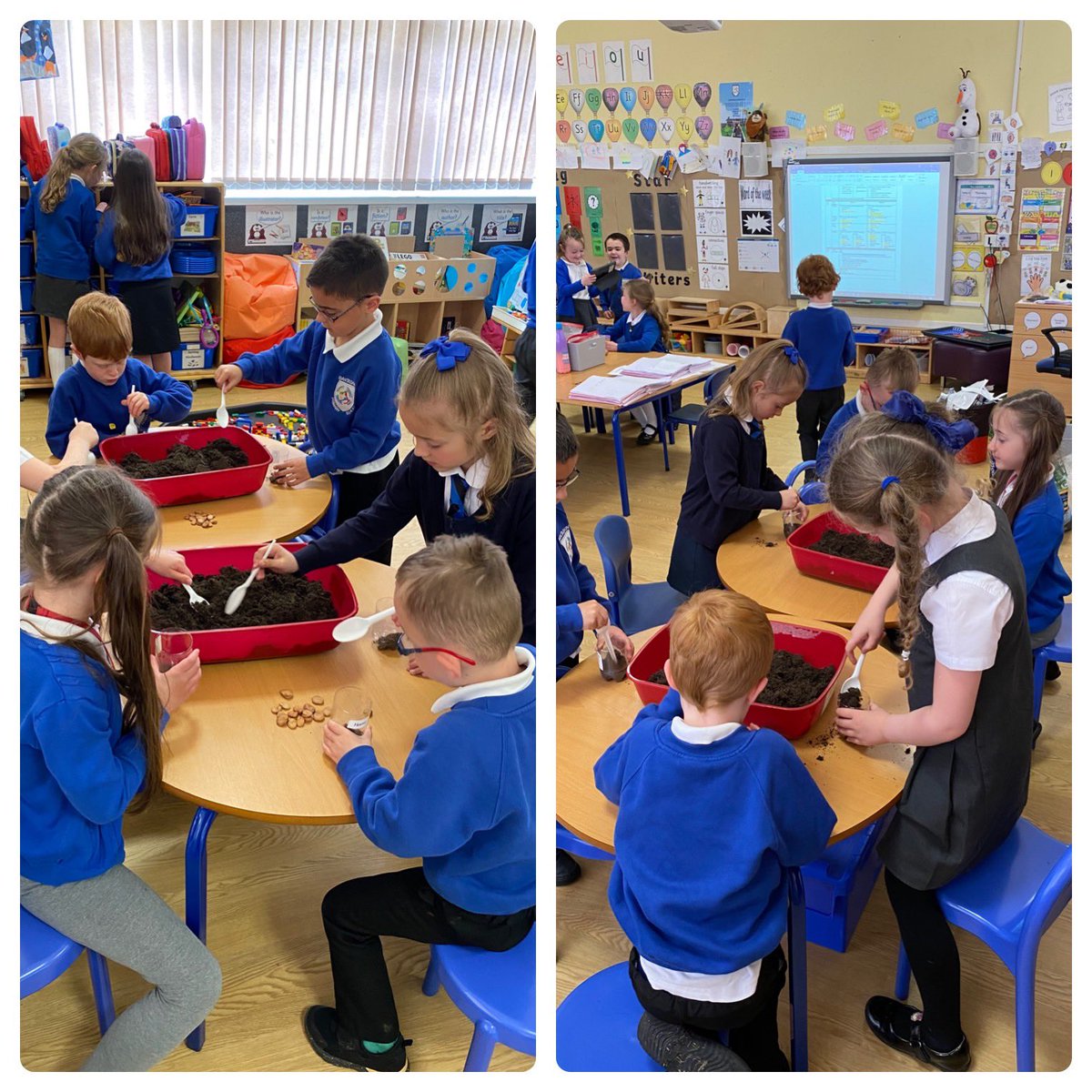 This afternoon we all planted our very own beanstalk. We have been talking about what plants need to grow and we are going to make sure our beanstalks have everything they need to grow tall and strong. #bantscience #bantnurture