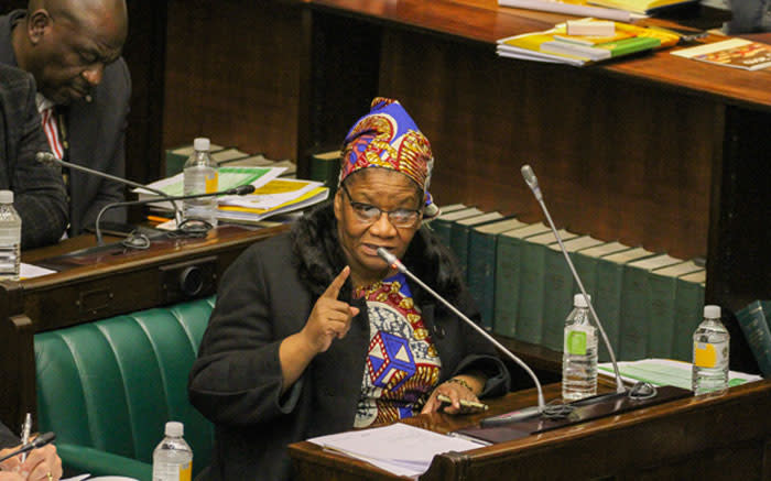 Court hears from witnesses about animal cruelty at Thandi Modise's farm