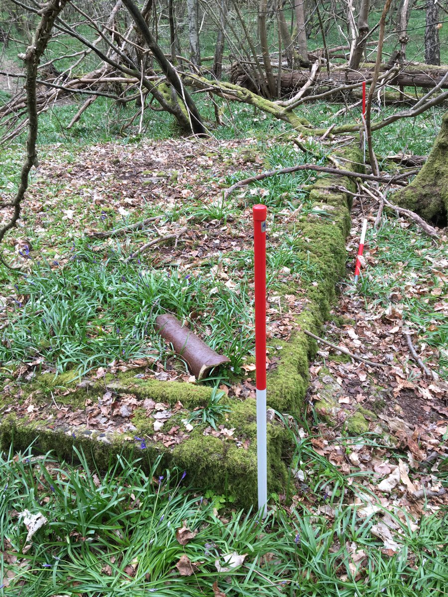 Anne Sassin tweet media