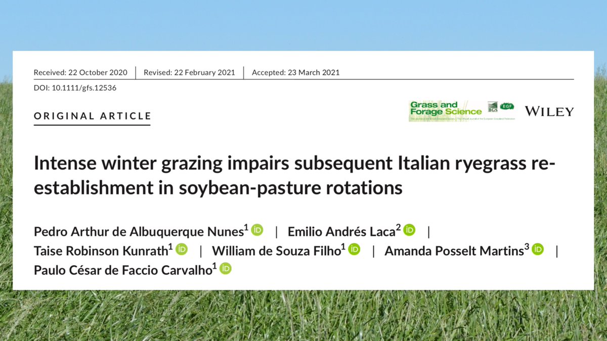 The success of annual #ryegrass re-establishment in #soybean-pasture rotations relies on #grazing management. Grazing intensity is key.

Paper #2 of my PhD thesis is now available online!
➡️doi.org/10.1111/gfs.12… 

Full-text, read-only version here ⬇️
onlinelibrary.wiley.com/share/author/6…