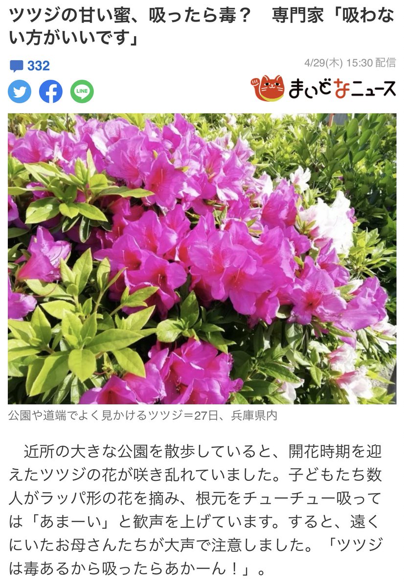 ブルスケッタ T Co 4f9rvzwnt1 ブルスケッタ T Co 4f9rvzwnt1