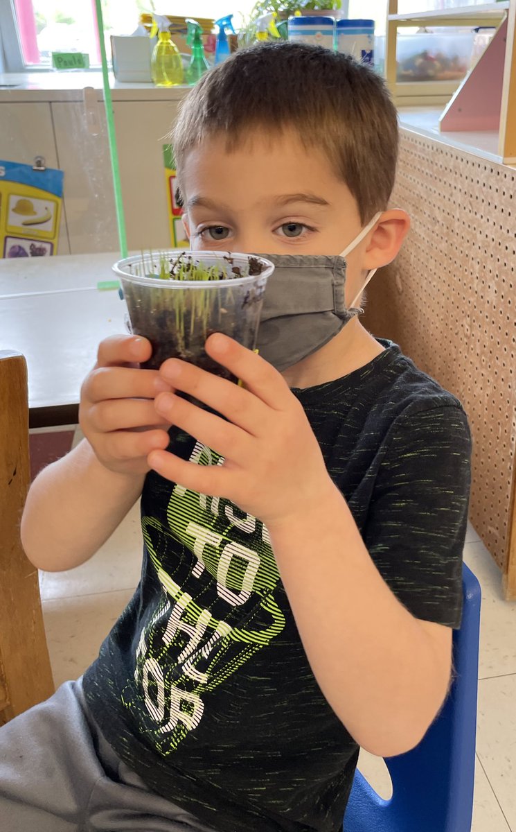 Amanda Siegman tweet media