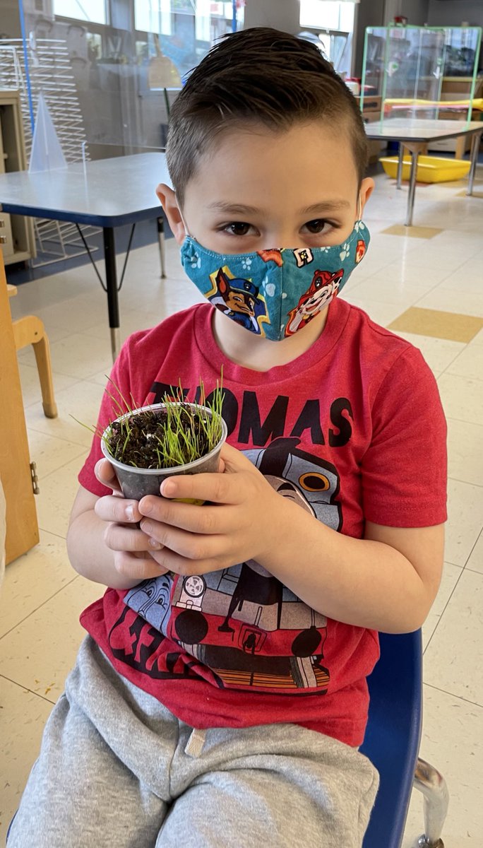 Amanda Siegman tweet media