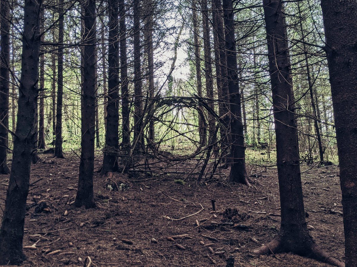 Je viens de trouver ça en forêt 